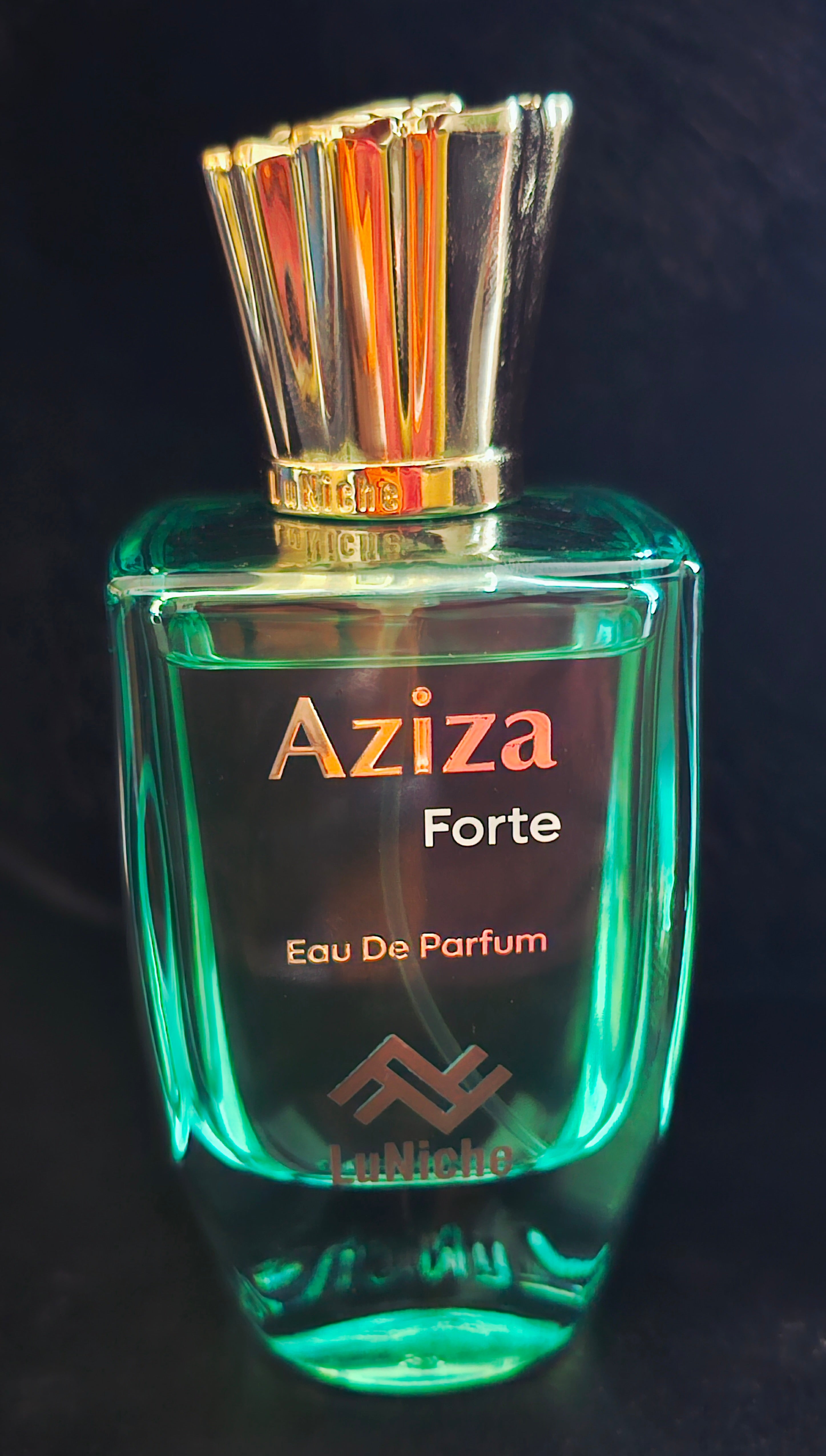 Aziza Forte